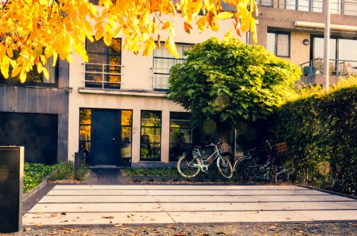 Tuin met natuurlijke vijverpartij