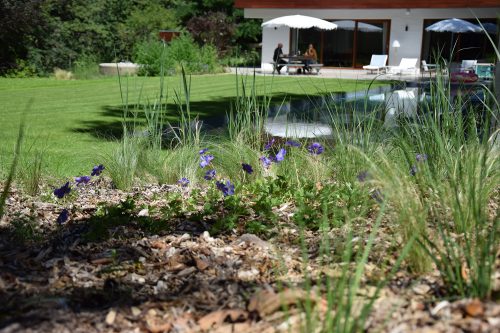 Voortuin met inheemse beplanting