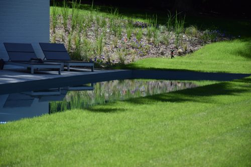 Bloemrijke border in zomer