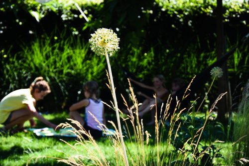 Aangelegde tuin met bloeiende borders